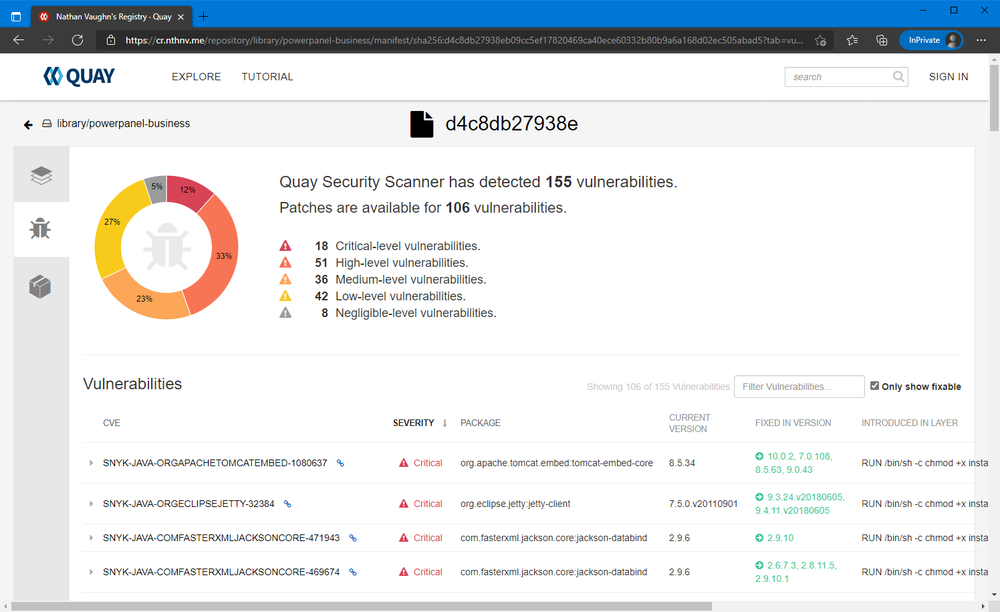 Vulnerabilities for a container image shown in the web UI